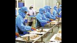 LuLu Group to set up Rs 200 cr food processing & logistics hub in J&K