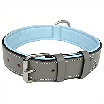 Leather Dog Collar