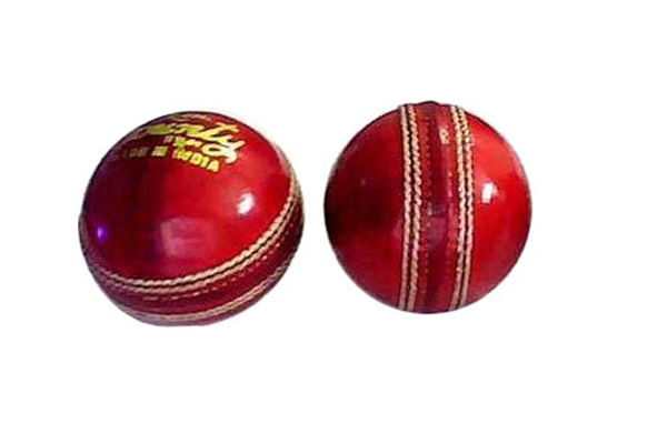 Leather Cricket Balls