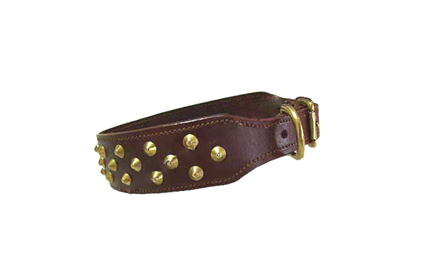 Dog Collar  DC-005