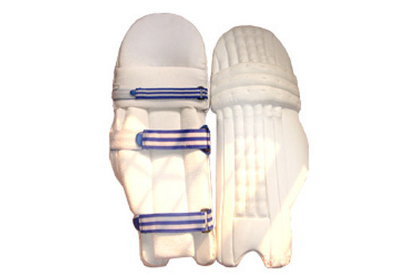 Batting Pads