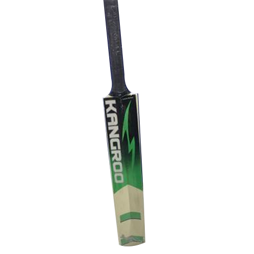 Kashmir Willow Cricket Bat