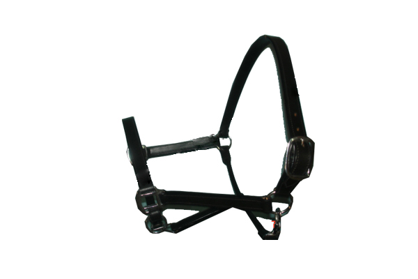 Leather Halter LH-006