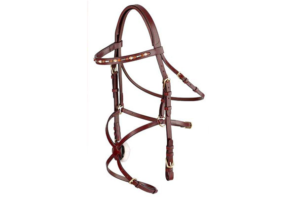 Leather Bridle With Reins