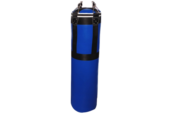 Standing Punching Bag