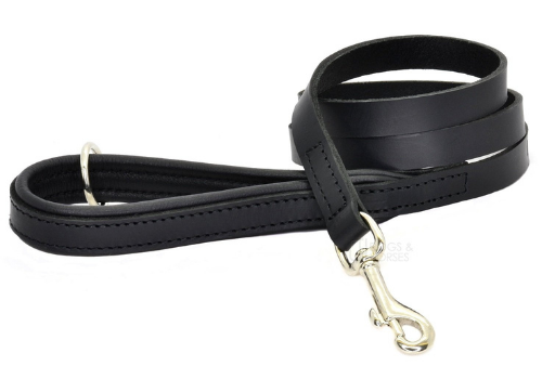 Dog Leash