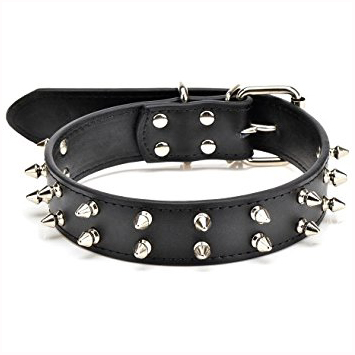 Leather Dog Collar