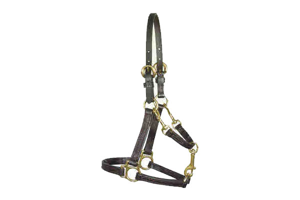 Leather Halter