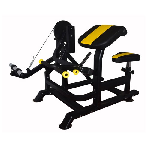 Preacher Curl Hammer Machine