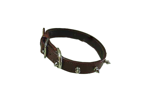 Dog Collar  DC-008