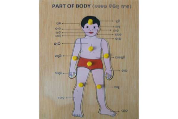 Wooden Parts of Body Puzzle