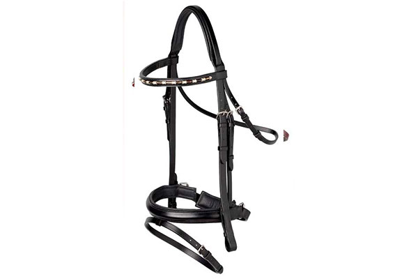 Leather Bridle With Reins