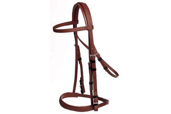 Leather Bridle With Reins