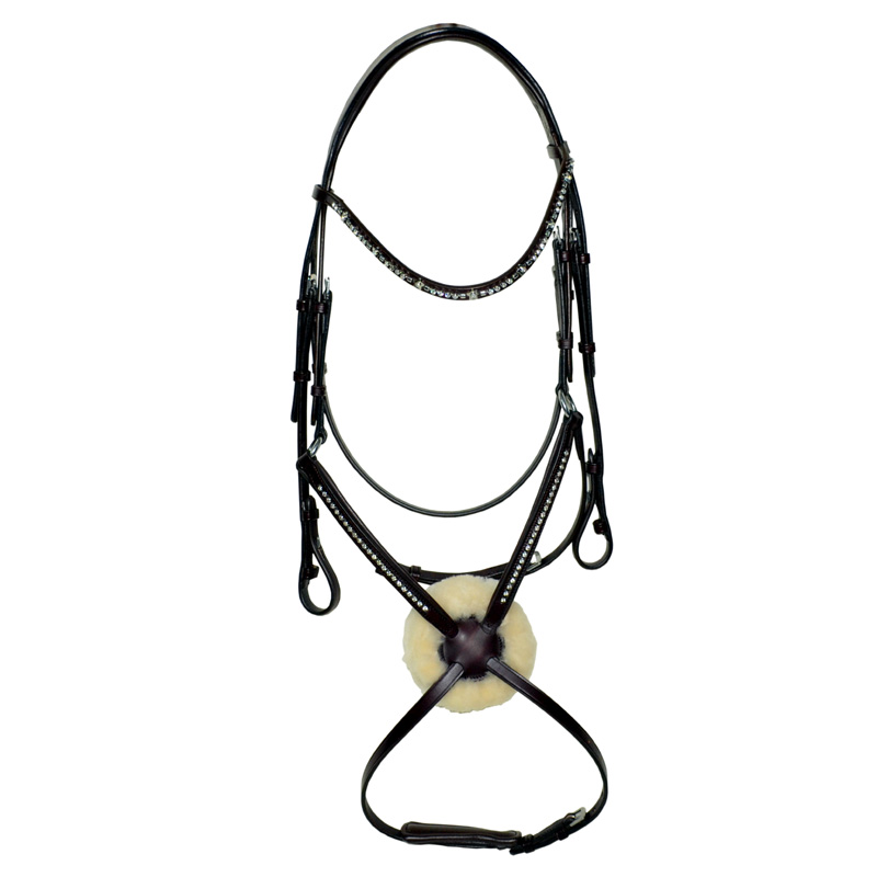 Horse Bridle