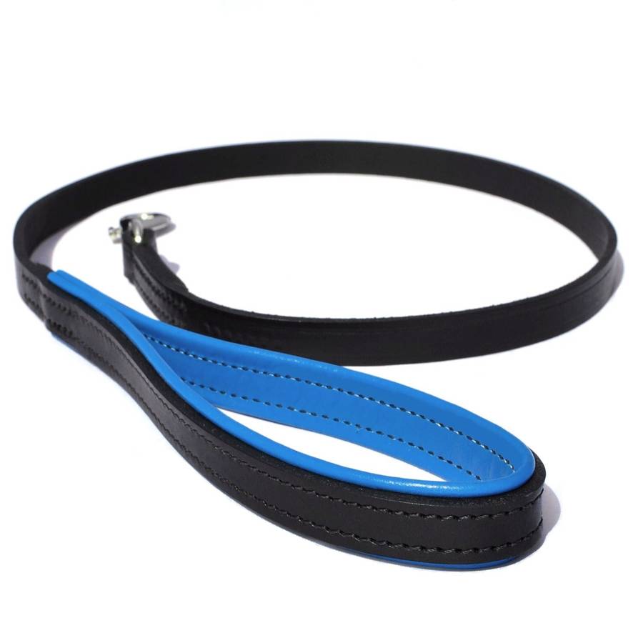 Dog Lead Leash