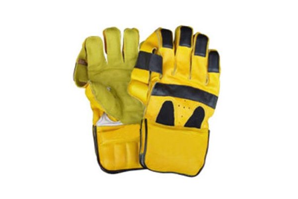 Wicket Keeping Gloves