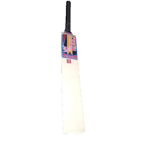 Kashmir Willow Cricket Bat