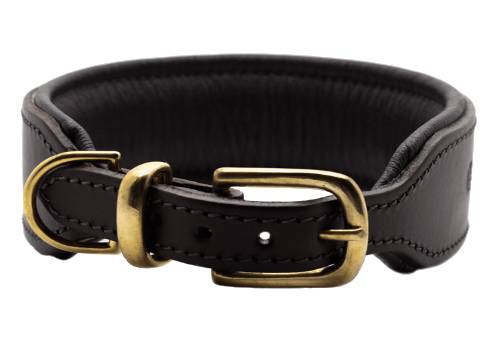 Dog Collar