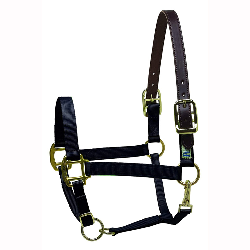 Horse Halter