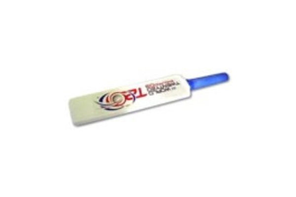 Mini Cricket Bats